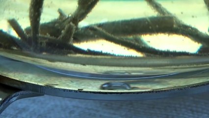 Chinese Tea For Five - Before Five-o'clock Tea