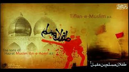MIR HASSAN MIR NOHA 2016-17 01-Muslim Kay Shahzaday