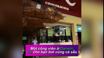 Choáng với dịch vụ vui đùa cùng cá sấu khổng lồ