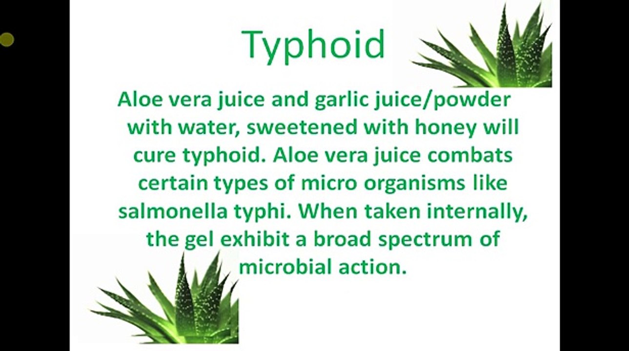How to permanently cure Typhoid with aloe vera