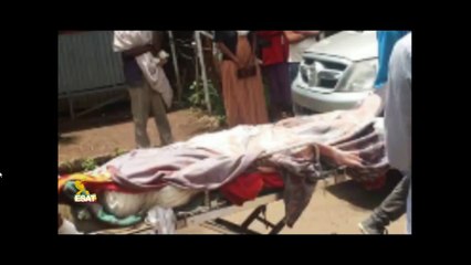 Ethiopian disapora call for genocide