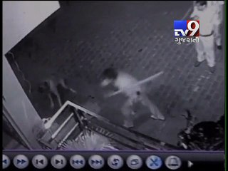Cop fires at dog in Agra to scare it away, video goes viral  - Tv9 Gujarati