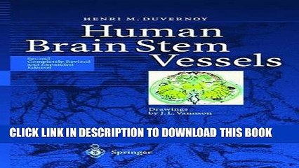 [PDF] Human Brain Stem Vessels: Including the Pineal Gland and Information on Brain Stem