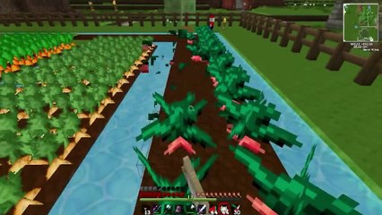 LA FAMILIA CRECE!! | #APOCALIPSISMINECRAFT2 | EPISODIO 67 | WILLYREX Y VEGETTA