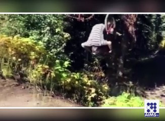 دنیا کے حیرت انگیز واقعات ایک جھلک میں