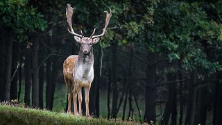 서면오피 밤의전쟁 BamWar9*net 연산역 오피