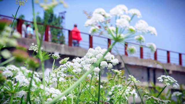 Les Ruches, 15 logements en habitat participatif au coeur de Nantes