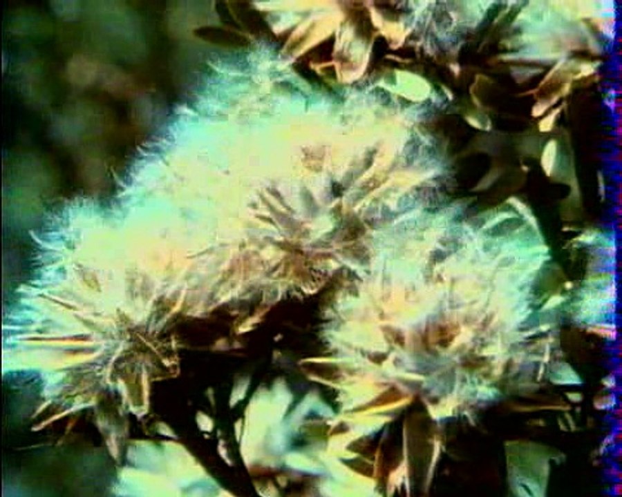 Les inventions de la vie 19 : Sans peur et sans famille