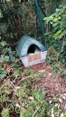 Emerainville - Une zone de nourrissage