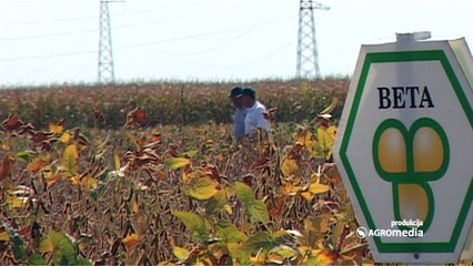 Evo kako je bilo na Danu polja soje na imanju „Napredak“