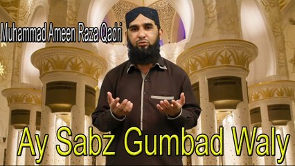 Muhammad Ameen Raza Qadri - Ay Sabz Gumbad Waly