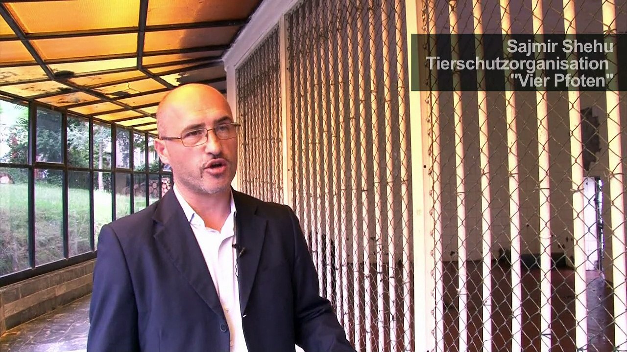 Gequält und gedemütigt: Bären in Albanien