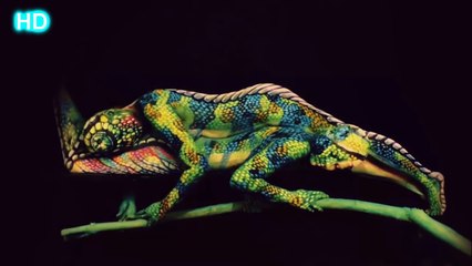 İNANILMAZ YETENEKLİ İNSANLAR ( ŞAŞIRMAMA CHALLENGE VİDEOLARI)#7