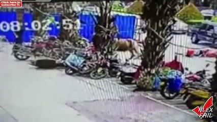 BEST EPIC FAILS    WIN Compilation ◄ BEST FUNNY VIDEOS ► FUNNY FAIL August 2016 #4