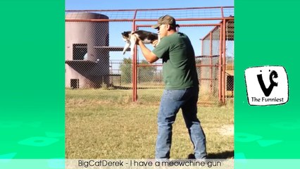 TRY NOT TO LAUGH - Funny Cat  u0026 Dog Vines Compilation 2016 !