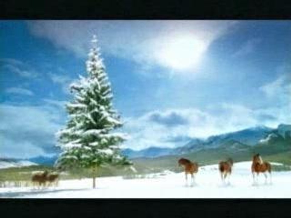 cheveaux et la neige