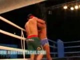 Mamed Khalidov  -vs-  Igor Pokrajac