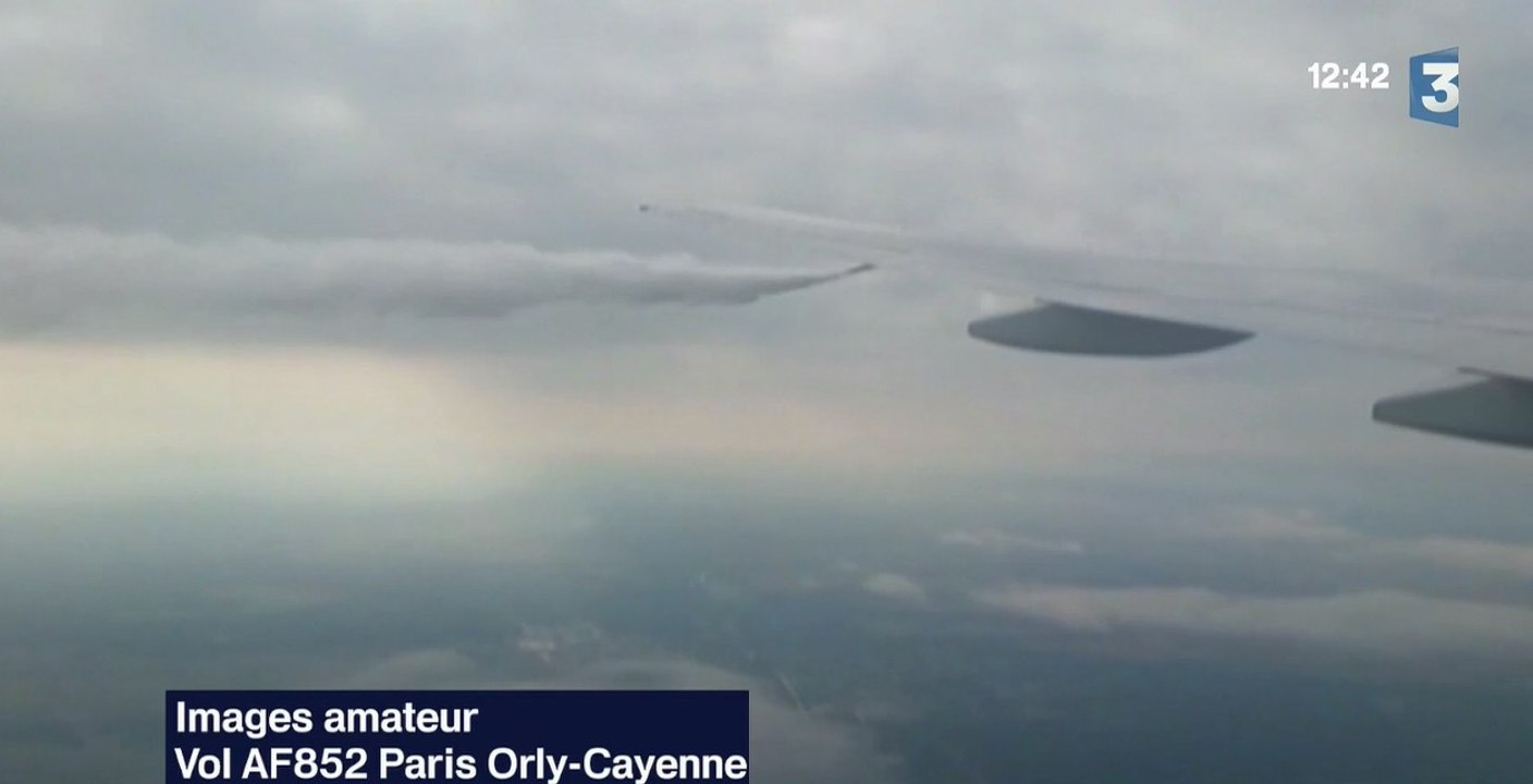 Après une panne, un avion largue 200 tonnes de kérosène sur la forêt de Fontainebleau