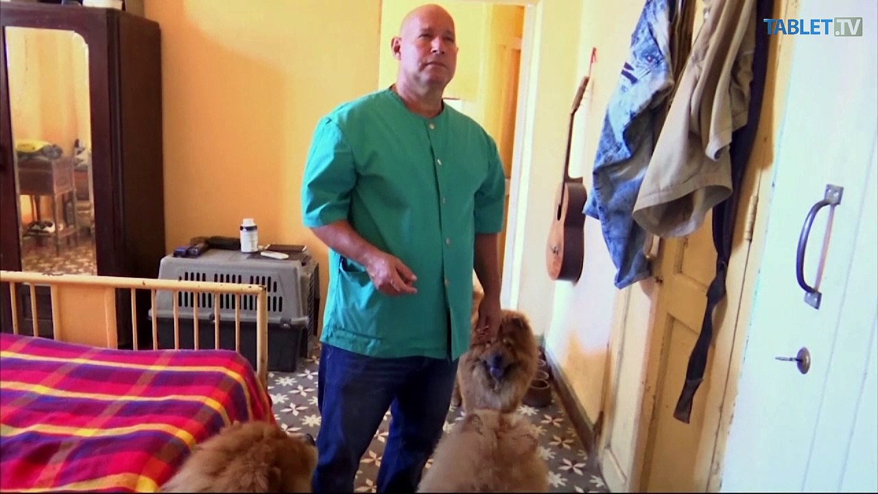 Dogaton vytiahol do ulíc stovky psíčkarov