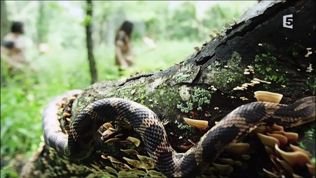 Aux Frontières Du Canada: Par-Delà Les Limites