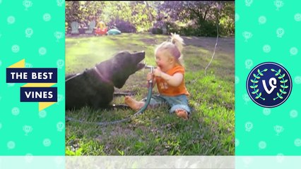 Best Fails Vines Compilation | Top Fail Vines May 2016