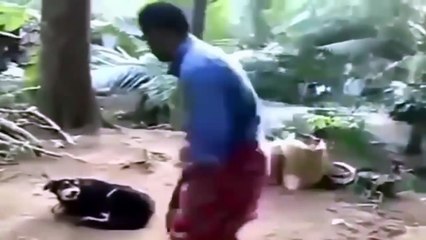 Le plus Choquant Attaques dAnimaux Sur lHomme, Animal Fou sAttaquer à des Gens,des Ours,des rhinocéros,des éléphants.