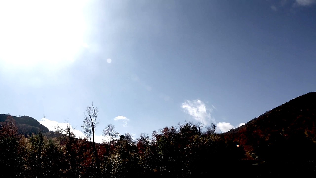 Sky, Sun, Forest