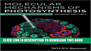 [PDF] Molecular Mechanisms of Photosynthesis Popular Online