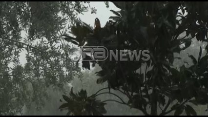 Ora News- Moti i keq, shi dhe breshër në Tiranë