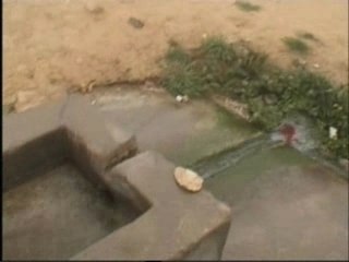 THALA_sous_le brouillard