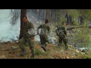 Ora News- 100 efektivë të ushtrisë dhe një helikopter u angazhuan në shuarjen e zjarrit
