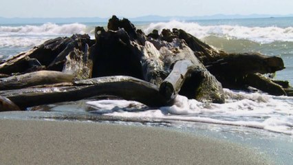 Tale, një mrekulli bregdetare  - Top Channel Albania - News - Lajme