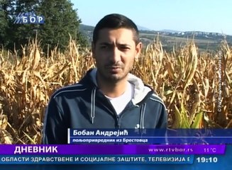 Dnevnik, 26. septembar 2016. (RTV Bor)