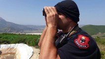 Në kërkim polici për hashashin - Top Channel Albania - News - Lajme