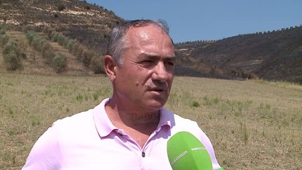 “Pastrimi” i kullotave shkrumbon pyje dhe ullishte - Top Channel Albania - News - Lajme