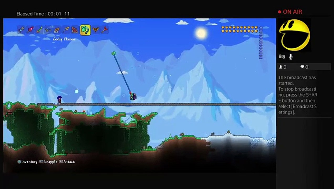 Terraria (25)