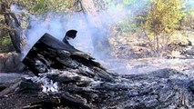 Mjedisi: Në gusht 16 zjarre, të gjithë të qëllimshëm - Top Channel Albania - News - Lajme
