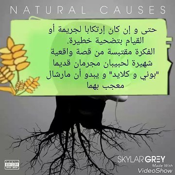 مترجم SKYLAR GREY FEAT EMINEM `KILL FOR YOU'