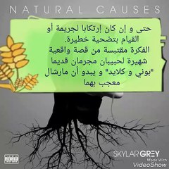 مترجم SKYLAR GREY FEAT EMINEM  `KILL FOR YOU'
