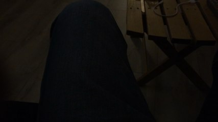 Sarkozy et les Gaulois