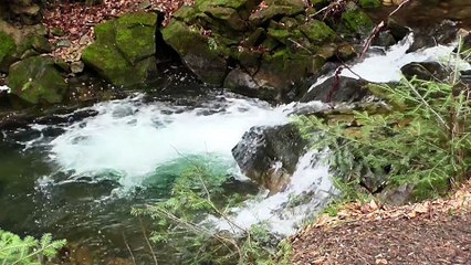 River Cascade Water Waterfall Brook Torrent 2